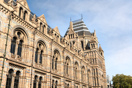 Natural History Museum of London, United Kingdom. Side view on the wing.のeditorial素材