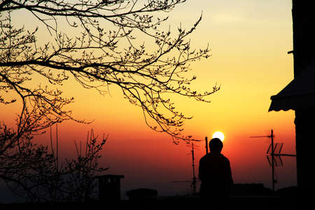 sunset time , Golden timeの写真素材
