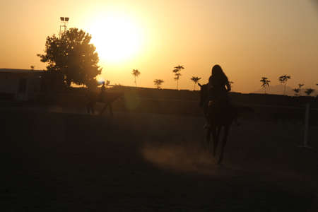 sunsetの写真素材