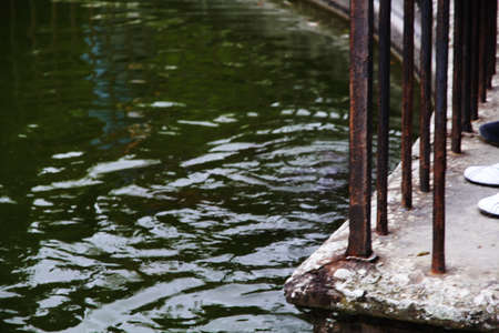 Visit the beautiful and most famous Italian gardens in the world, the Boboli Gardens.の写真素材
