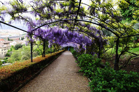 Travel to Florenceの写真素材