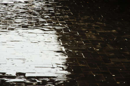 travel to Venice, the capital of northern Italyâ€™s Veneto region, is built on more than 100...