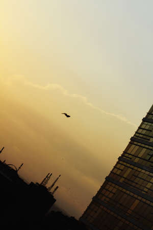 sunset time in Istanbulの写真素材