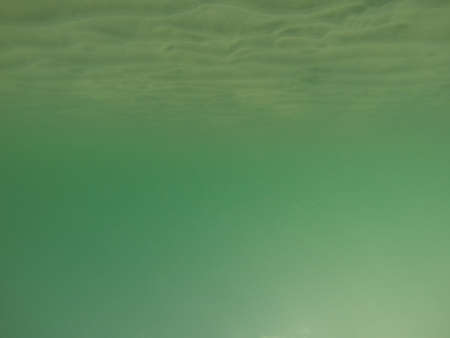 Under water world , diving in sea to see colorful fishes and the world of under blue lineの写真素材