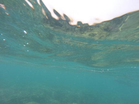 Under water world , diving in sea to see colorful fishes and the world of under blue lineの写真素材