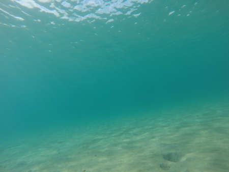 Under water world , diving in sea to see colorful fishes and the world of under blue lineの写真素材