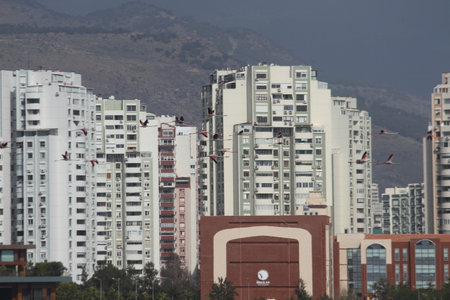 Buildings in the city of Alicante, Spain. With a population of approximately 3.5 million people.