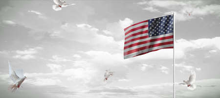 United States of America flag waving in the wind with seagulls. 3d illustrationの写真素材