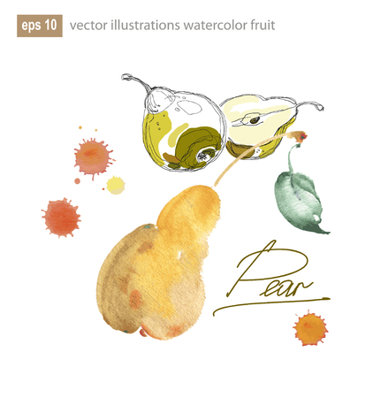 watercolor fruit apple and pear.のイラスト素材