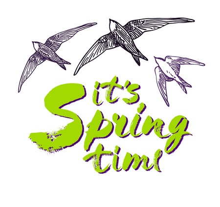 It's spring time hand drawn brush lettering with birds isolated on white background vector design lettering for spring sales, banners, advertisement, posters, prints, greeting cards and t-shirts.のイラスト素材