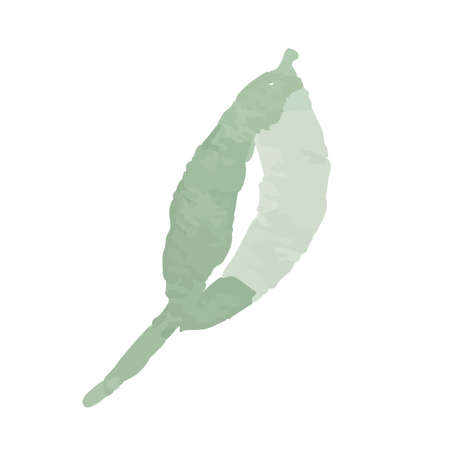 Leaf icons isolated on white background. Logo sign design. Modern brush ink illustration. Vectorのイラスト素材