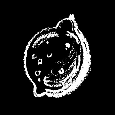 Lemon vector sketch icon isolated on background. Hand drawn pastel or chalk illustration. Icon for infographic, website or appのイラスト素材