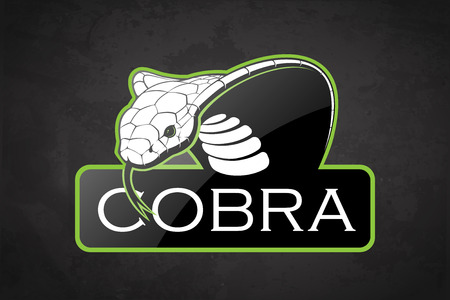 Cobra on a dark background. Vector cobra with room for text.のイラスト素材