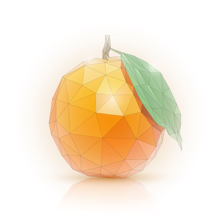 Image of an orange in the style of low poly vector illustration.のイラスト素材