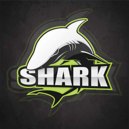 Shark emblem on a dark background. Vector illustrationのイラスト素材