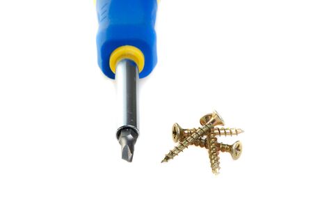 Some screws and a screwdriver arranged on a white background, isolated.の写真素材