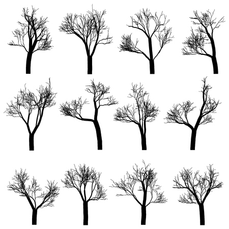 Tree trunks silhouettes set, hand drawn vector design elements.のイラスト素材