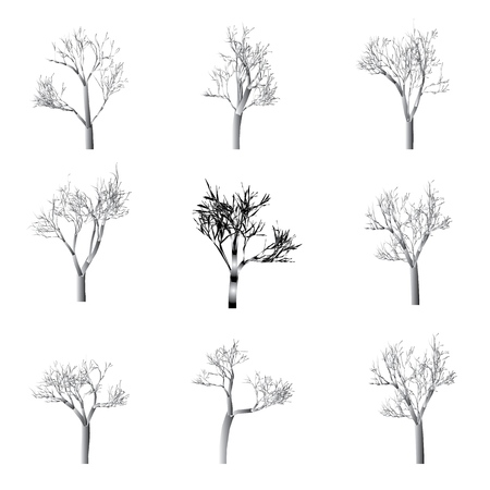 Set of tree silhouettes, hand drawn vector design elements.のイラスト素材