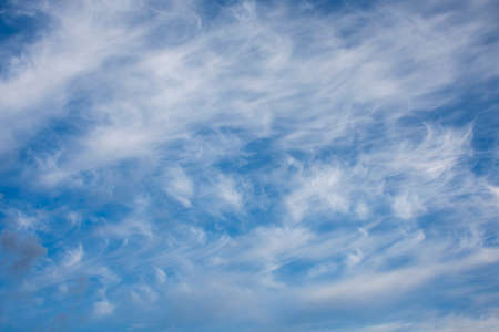 Summer. Feathered clouds in the blue sky