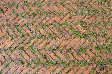 Background. Setts sprouted green grass
