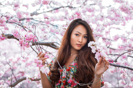 Young Asian woman, in front of blossoming cherry tree in the spring time . High quality photoの写真素材