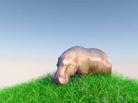3d animal on grass with back light with high quality renderの写真素材