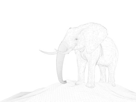 3d rendering of anima wireframel with white backgroundの写真素材