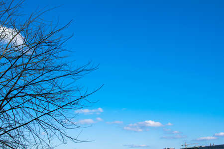 blue skyの写真素材