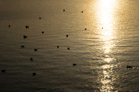 wonderful sunset in hamburgの写真素材