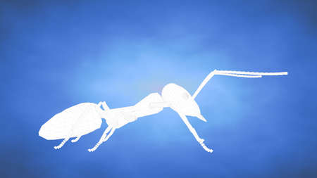 outlined 3d rendering of an ant inside a blue studioの写真素材