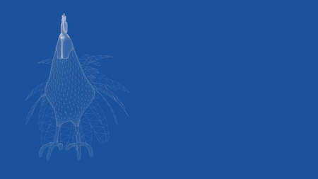 3d rendering of an outlined chickenの写真素材