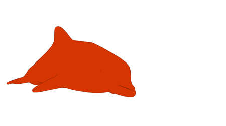 outlined animal isolated on white 3d renderingの写真素材