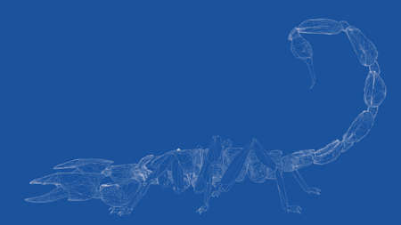 3d rendering of an outlined scorpionの写真素材