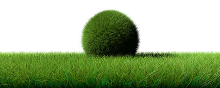 3d rendering of green sphere on white