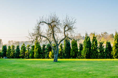 big long green field at sunset with beautiful view