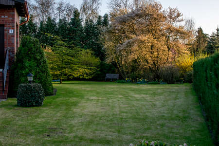 Green garden at spring with plants and flower in Germany Europe