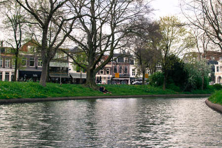 green landscape view with grass water and blue skyの写真素材