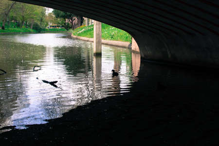 building in Netherlands Europe in the afternoon with a cloudy skyの写真素材