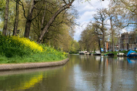 green landscape view with grass water and blue skyのeditorial素材