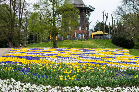 windmill with colorful flowers foregroundの写真素材