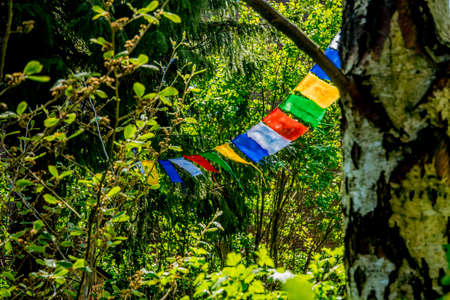 colorful small flags inside an European Garden at spring timeの写真素材
