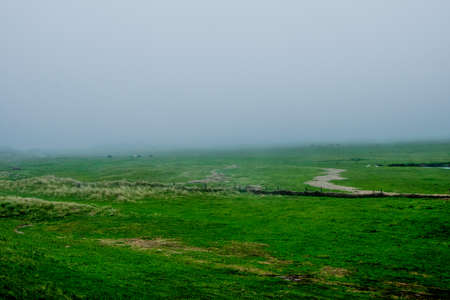 big green field with a foggy environmentの写真素材