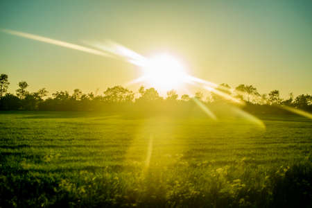green landscape at sunset in Europeの写真素材