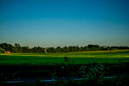 Beautiful green nature in Europe from the roadの写真素材