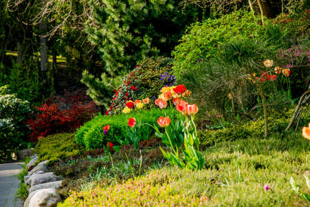 beautiful view with natural colors and water reflectionの写真素材