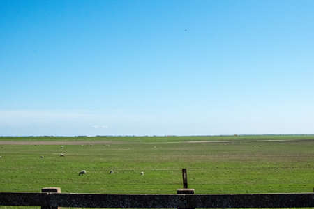 Beautiful green nature in Europe from the roadの写真素材