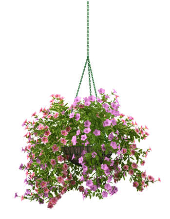 3d rendering of a realistic flower pot isolated on whiteの写真素材