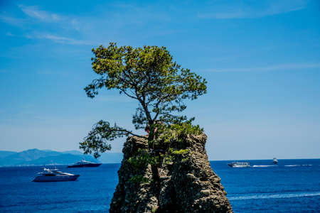 vacation time in Summer with blue water and clear skyの写真素材