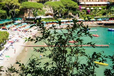 foreground tree in Europe for designの写真素材