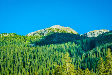 Beautiful scene with green elements on a bright day in Europeの写真素材